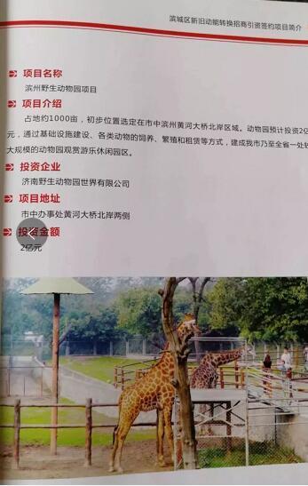 厲害了我的大濱州，15個(gè)招商引資項(xiàng)目集中簽約！
